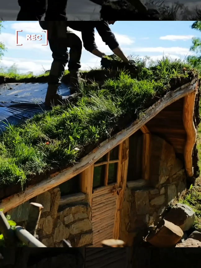 Building a small wooden house in the mountains - warm, unique and completely natural #survived #survivalskills #outdoorlife #bushcraftshelter #shelterbuilding #building #wilderness #bushcrafting #bushcraftsurvival 