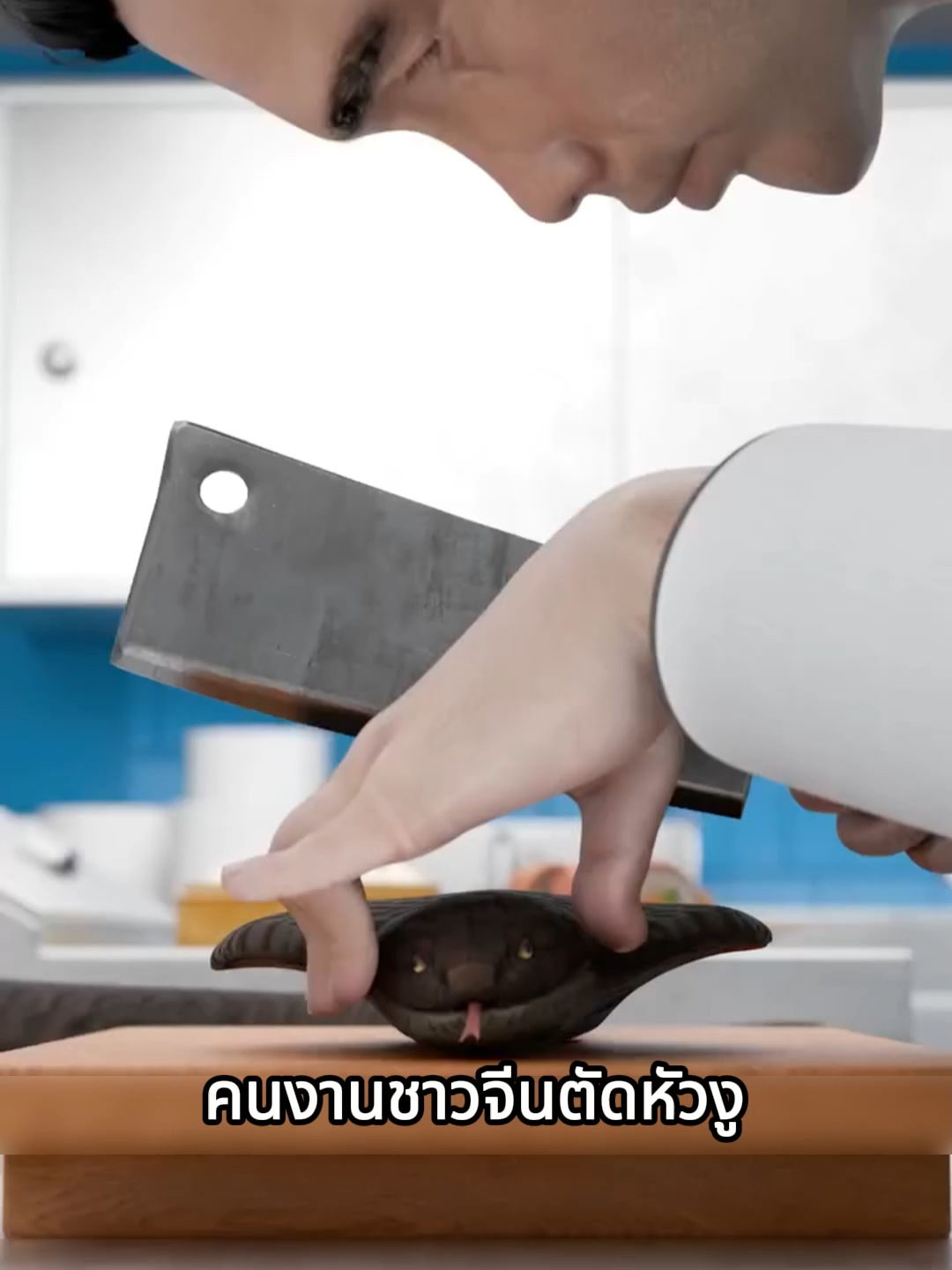 พ่อครัวที่ถูกงูที่ถูกตัดหัวแล้วโดนกัดได้อย่างไร #fyp #สาระความรู้ #สาระดีๆ #wowstoryth #ข่าวtiktok