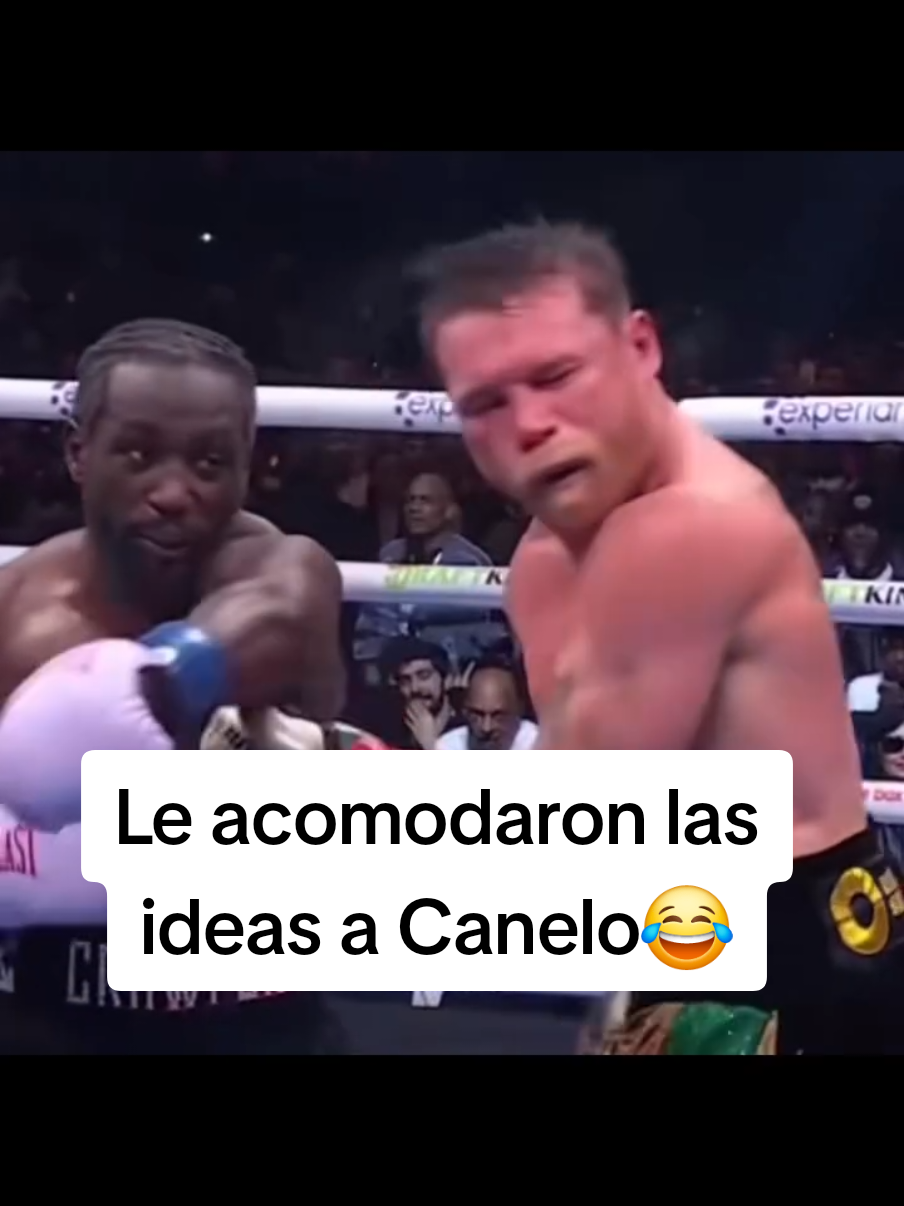 Le acomodaron las ideas a Canelo con eso 😂 . . . #pelea #canelo #acomodar #ideas #meme 