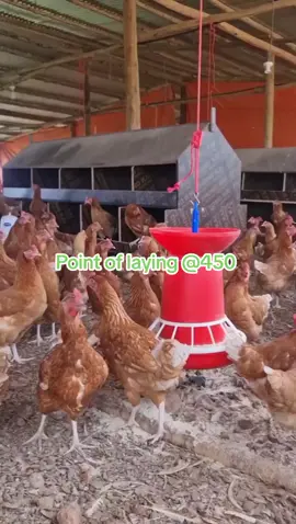 #fyppppppppppppppppppppppp #viral #video #kenyantiktok 