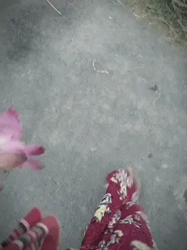 #CapCut 🌷💔#viral #👑m_g👑 