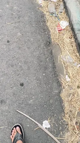 🤙🏼#masukberanda #mpexcell #mpgank #herexhitz #lewatberanda 