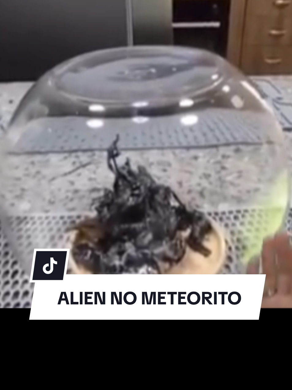 Um meteorito caiu no Panamá e testemunhas afirmam que havia algo estranho dentro dele. Será apenas uma formação natural ou realmente uma criatura alienígena? O caso está intrigando moradores e levantando discussões entre cientistas e curiosos do mundo todo.