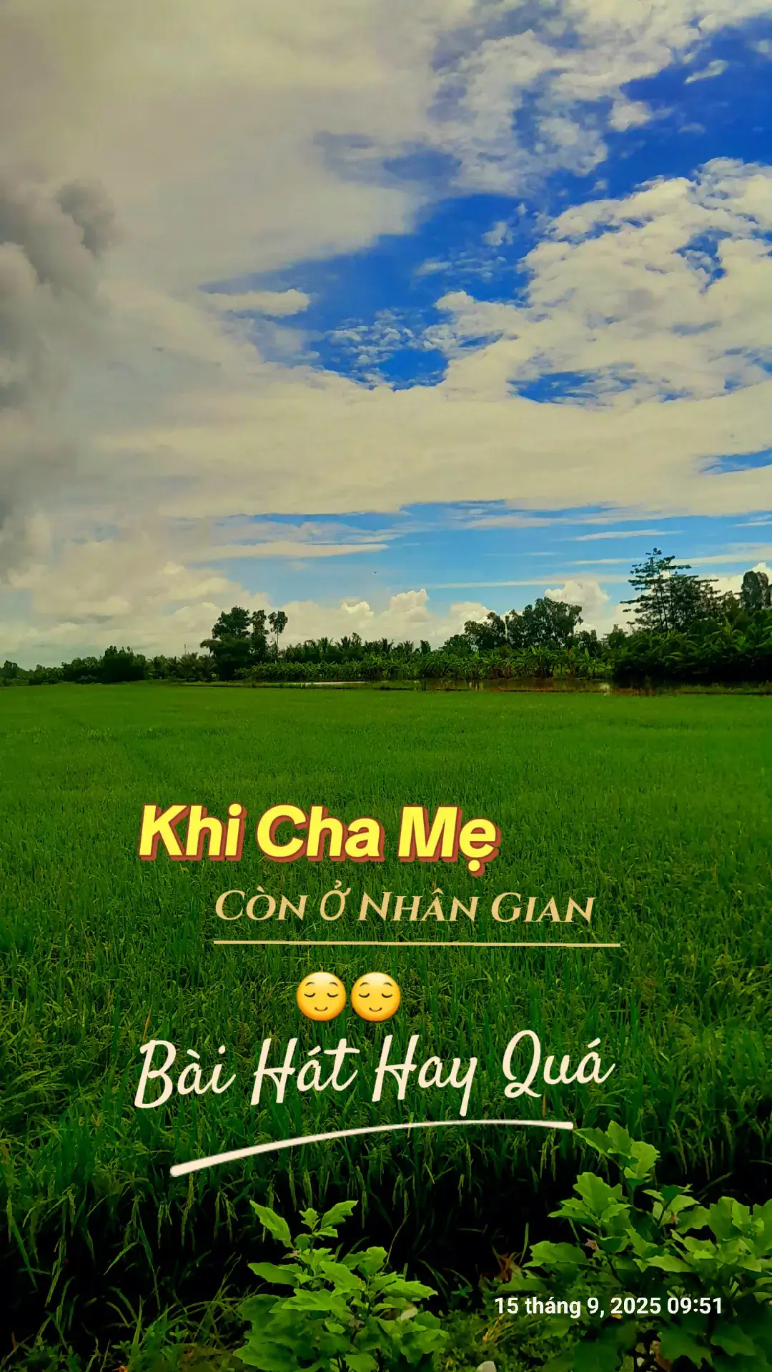 #xuhuong #quehuongmientay #nhachaymoingay #tiktok 