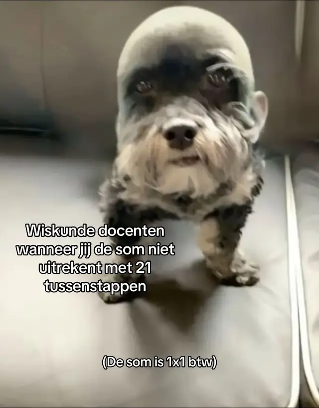 #wiskunde #docenten #school 