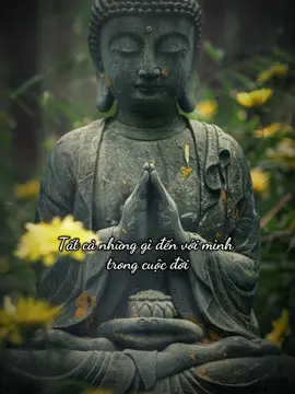 Trở ngại cho mình chính là thái độ của mình đối với cái sự kiện đó!! #phâtphapnhiemmau #phatphap #giacngo #thuctinh #phatphapnhiemmau 