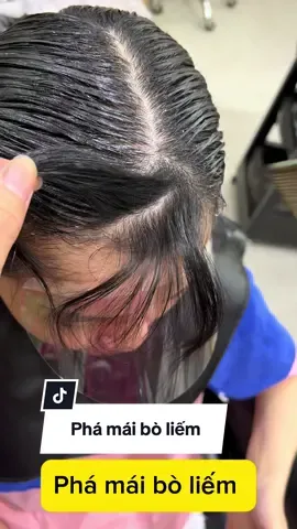 Phá mái bò liếm #thichcamkeo #botphamai #phamaiboliem 