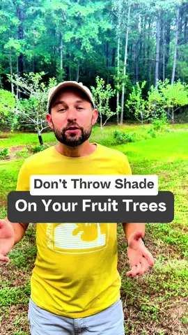 🌳 Are you making this mistake when planting your fruit trees? 🤔🍎🍑 I’ve been growing fruit trees for 10+ years, and one of the biggest lessons I’ve learned is this: sunlight is EVERYTHING! 🌞 If your trees are stuck in shade or only getting 2–4 hours of light, they might grow… but they won’t thrive, and your harvest will be weak. Full sun = 6–8+ hours of direct light ☀️ and that’s where your trees will actually flourish, fight off disease, and give you the fruit you’ve been dreaming of 🍐🍒 Plan your orchard right the first time ✅ Put your trees in full sun and thank yourself later! 🙌 Want more? Join my 20 Day Challenge where I dive deep into all the fruit tree basics (link in bio). 🌱 #homestead #fruitorchard #backyardorchard #fruitgarden #organicgardening   