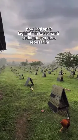 Bismillah🤲#sorotan #foryoupage #fyppppppppppppppppppppppp #presto_fram 