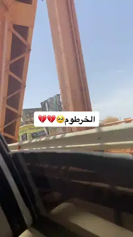 #خرطومنا_التي_نحب  💚💚 