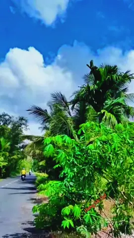 người tình ơi,thà ko quen biết#xuhuong2024 #fyp #canhdep #foryou #huongsacque 