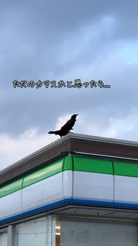 不思議な体験　#不思議  #衝撃映像  #まさかの展開 