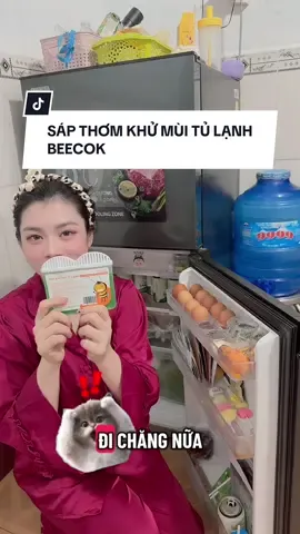 #xuhuong Tủ Lạnh Luôn Thơm Tho 🥰🥰 #tulanh #beecok #tienich #sapthom 