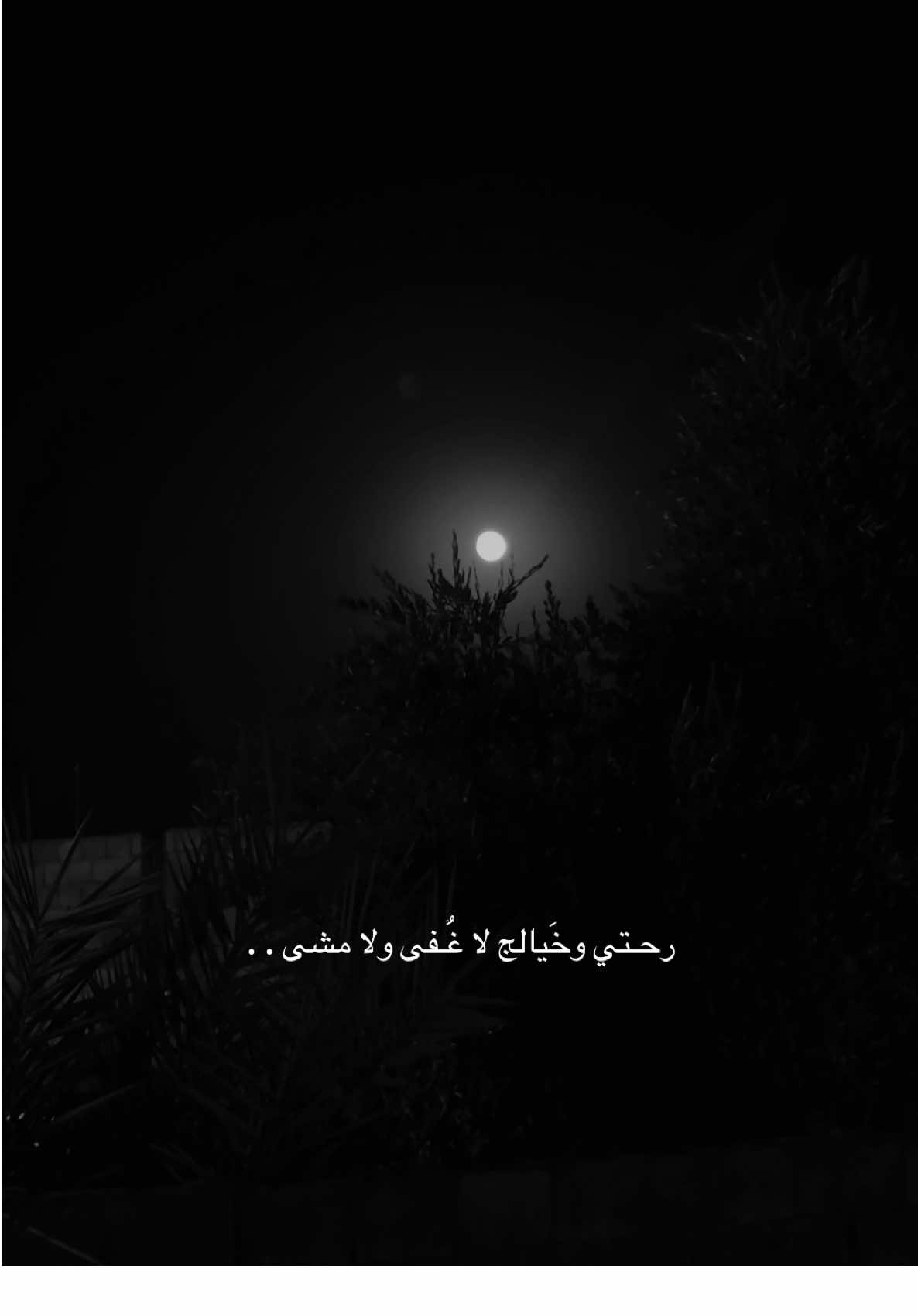 رحتي وخيالج لا غفى ولا مشى ؟#قوالب_تيك_توك_جديده #قالب_تيك_توك_جديد #قالب_تيك_توك #قوالب_تيك_توك 