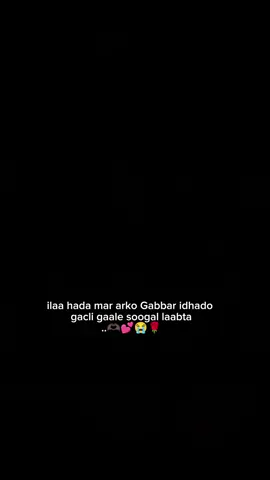 love saar report dhaha plz Somalitikto 