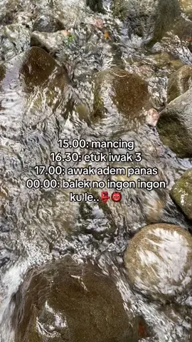 Mboten mbah😂 #mancingmania #microfishingindonesia #mancingmahseer #kemuningskyhills #karanganyar24jam 