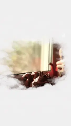 Đôi khi yêu là chấp nhận đứng sau cuộc đời một người, âm thầm cầu chúc họ hạnh phúc dù hạnh phúc ấy không có mình... #giuanhungconsong #phattrienbanthan #chualanh #sach 