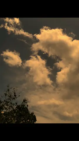 مجرد لأن شخص ما يبتسم لك، لا يعني أنه يحبك. Hanya karena seseorang tersenyum padamu, tak berarti dia menyukaimu. #robbiinniqodmadadtuyadi #banjari #banjaristory #sholawattrending 