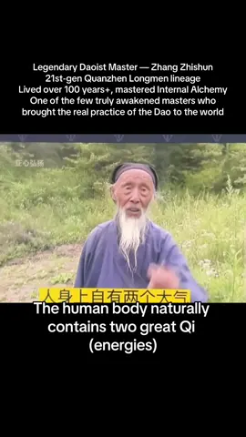 Master zhang-zhishun on age of cultivation #daoism #awakening #spirituality #meditation #fyp 