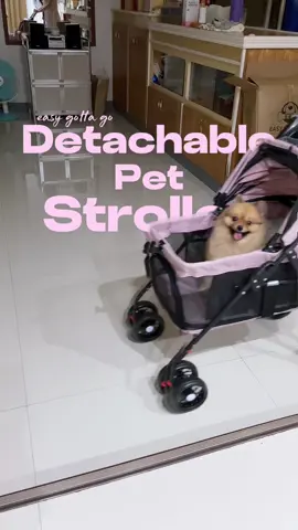Finally found a foldable stroller + detachable basket 👌🏻🐶 (watch until the end 😆) #petstroller #eggpetsupply #dogsoftiktok #pomeranian #fyp 