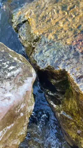 🩵🩵#الريتش_في_زمه_الله💔😣 