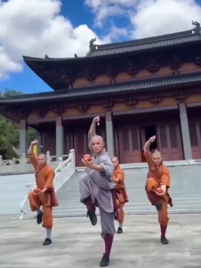 Shaolin Monks🔥😳 Hard & Heavy Training🥋 #shaolin #shaolinkungfu #monk #gym #monktraining 