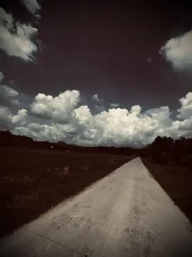 “习惯疼痛，这样你的心就不会因为新的划痕而恐慌。” “Quen dần với niềm đau, để trái tim thôi hoảng loạn trước vết xước mới.”