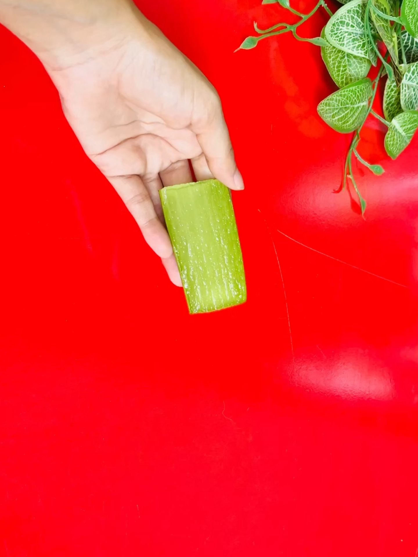 aloe vera and haldi new tips || #cleaning #cleaningtiktok #f #fy #fyp #fypage #foryoupage #foryou #fyppp #tipsandtricks #100kviews #million #dresserts #dresserttok #100k #viral #viraltiktok #trending #howto #fyp #foryoupage #fyp