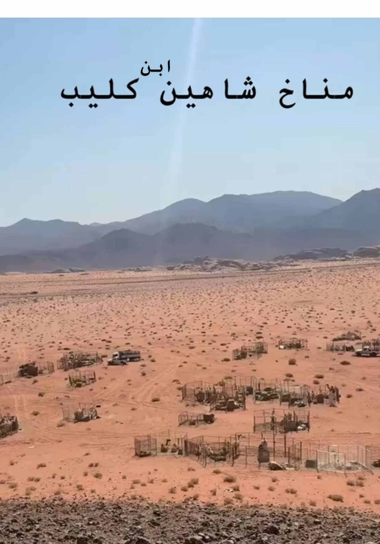 #اكسبلور_عطايا_الله_🐪_🤍_ 