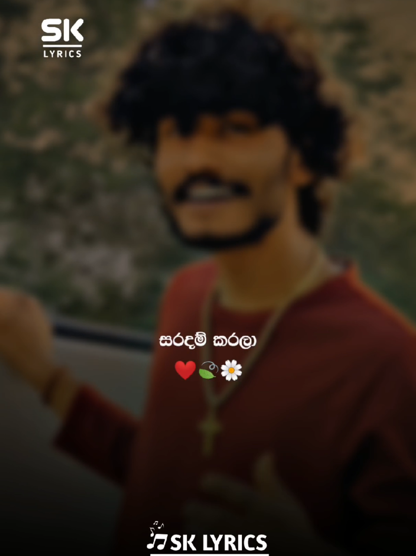 දුප්පතෙක් කියා  සරදම් කරලා 🙂❤️🍃 #trending #sinhalasong #tiktok #shagidu #sklyrics555 