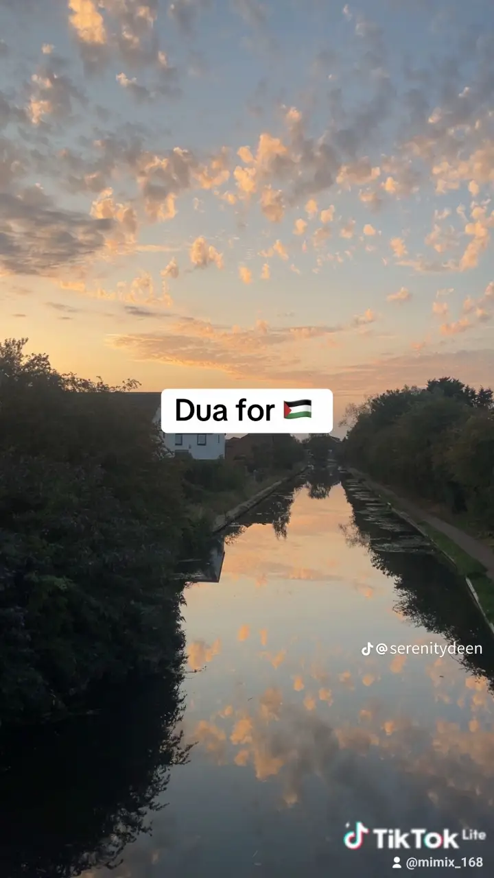 #palestine🇵🇸 #gaza #turkey#ArabTikTok #free #freepalestine🇵🇸❤️ #muslimah #muslimonly02 #fouryou #viral_video #worldwide #trendingvideo #goviral #90000000000000000000000000000m