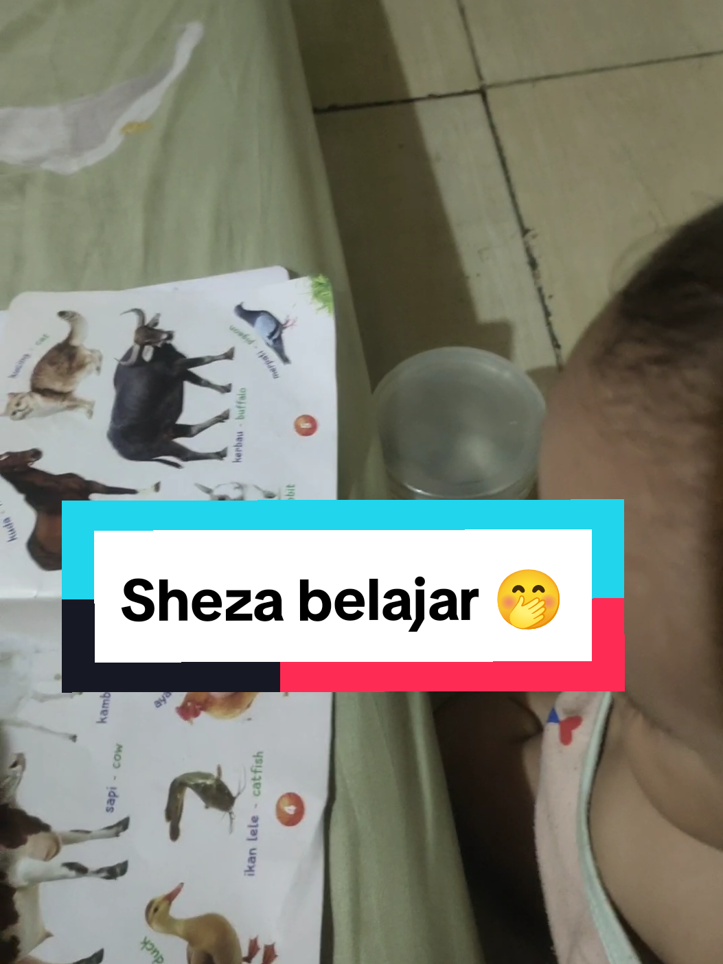 bayik 1 tahun ku tanpa gadget, belajar dengan buku edukasi anak 😬🤭   #fyppppppppppppppppppppppp #babby #bayik #edukasianak #edukasi 