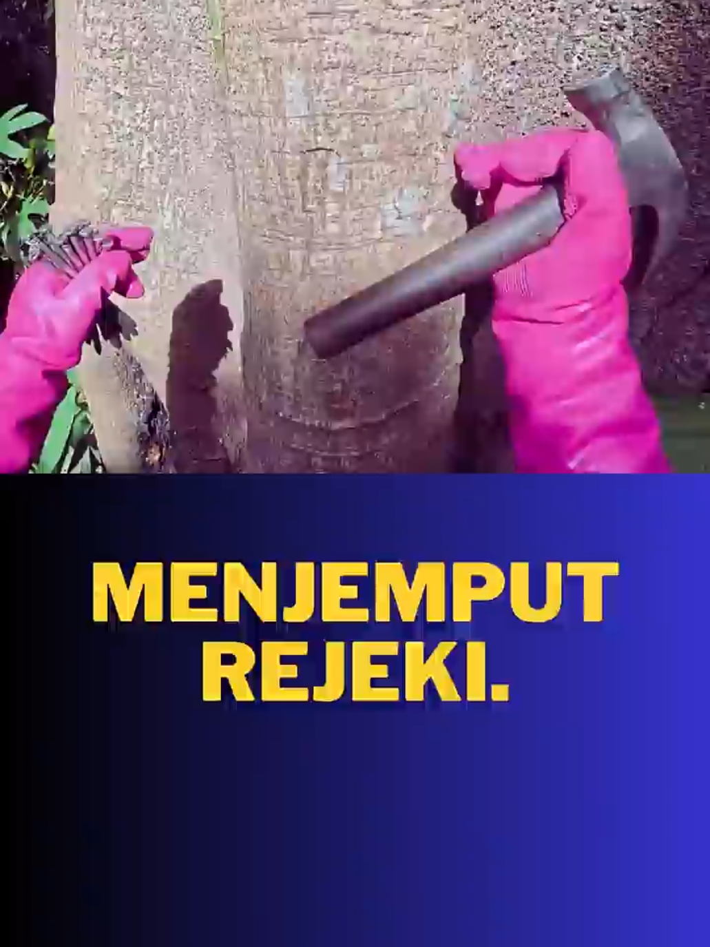 Dia yang manjat, aku yang deg-degan 😰 #panjat #pohon #rejekiwow #lebah  #madu 