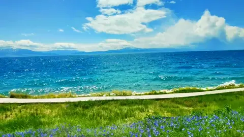 Trời hạ #xuhuong #monthattha #flowers #hoadep 