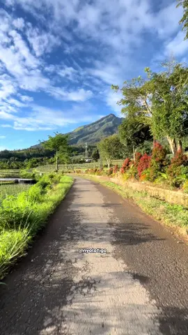 Gak cuma Wonosobo, Getasan Kopeng punya view secakep ini… #fyp #fy #fypシ゚ #xybca #salatiga #salatiga24jam #fyppppppppppppppppppppppp #ptsci #sci #trending #kopeng #kopenhagen #wonosobo 