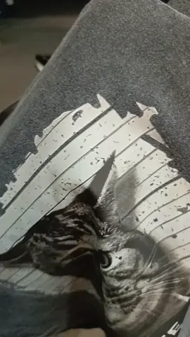 I hate people cat oversized t-shirt #streetwear #fyp