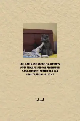 Bagian 32 // 🤭 @محمد نور سالم  #quoteslucu #kucinglucu #foryoupage #masukberanda #fyppppppppppppppppppppppp 