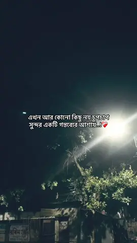 In shallah..!❤️‍🩹 #foryou #fypシ #bangladesh #sadquotes #viral 