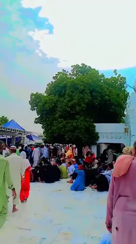 #Darbarhazratsultanbaho #treanding #viral_video #treanding 