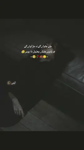 غیروں میں بٹتی رہی تیرے لہجے کی چاشنی✨ تیری آواز جن کا رزق تھی وہ فاقوں سے مر گئے ✨ #urdupoetry🥺🥀 
