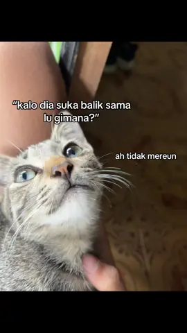 #fyp #katakatahariini #foryou #crush 