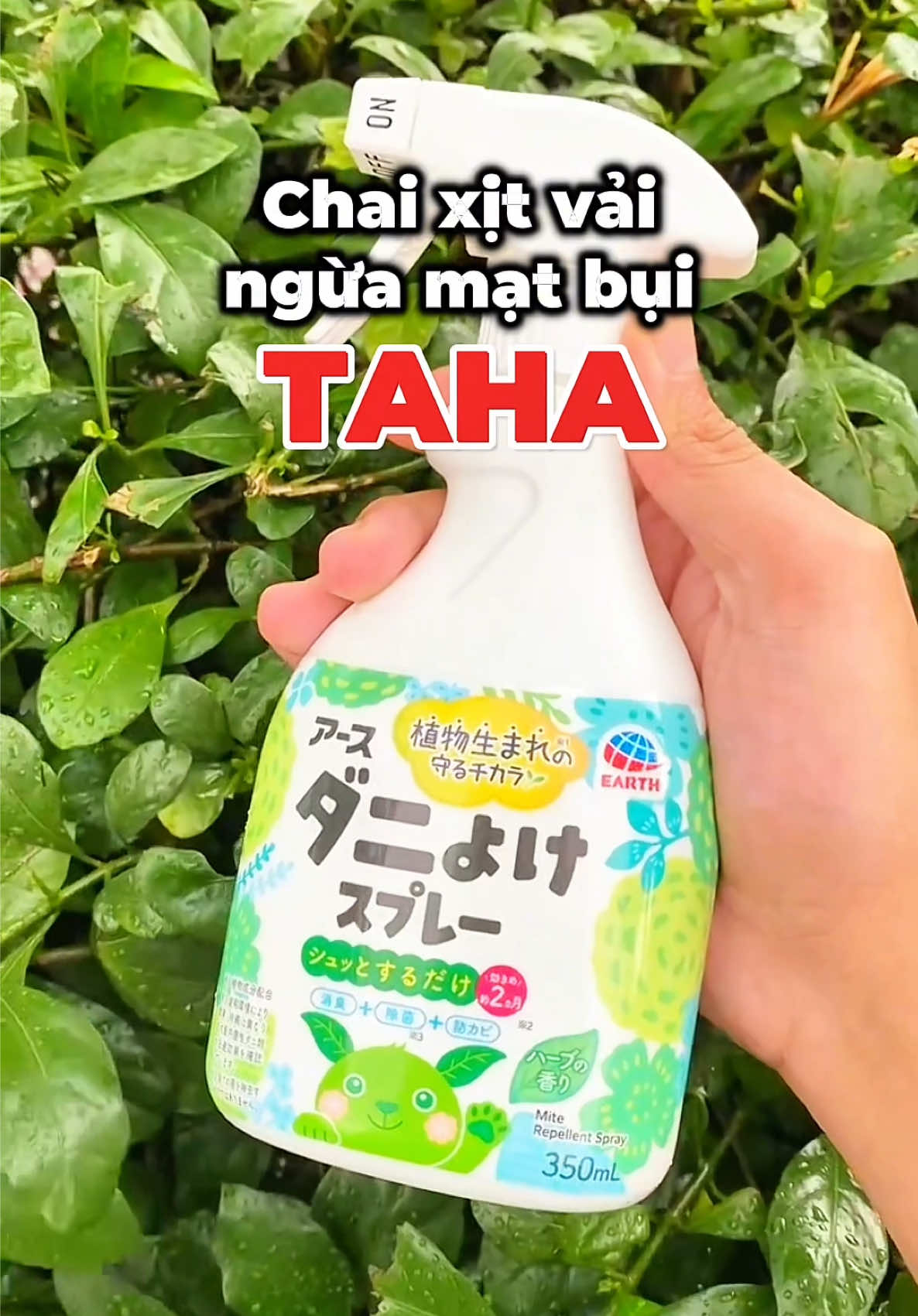 Bảo vệ giấc ngủ gia đình khỏi con mạt bụi cùng xịt mạt bụi TAHA  #ecv #earthcorporationvietnam #giadungtienich #taha #viral 