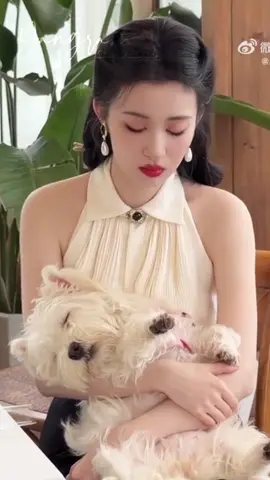 Mother is mothering.😅😂 Mop and Ranran is the cutest.🥰🐶 #WangChuran  #YangranGlobal  #Yangran #fyp  #foryou 
