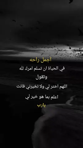 اجمل راحه في الحياة ان تسلم امرك لله #دعاء♡الخير #متابعه_ولايك_واكسبلور_فضلا_ليس_امر #نشر #اكسبلووووورررر #عبارات_جميلة🦋💙 