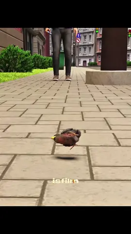 Ibon🐥 #bird #timecheck #zackdfilms #relapsetime #fyp 