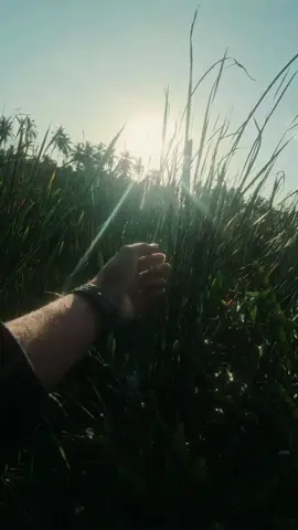 නිදහස 🕊️🌿 #nature #fypシ #fyp #travel 