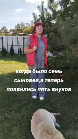 #рекомендации  бтс Арми я рофлю