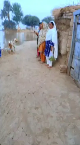 #majboor log ay great Teri behn