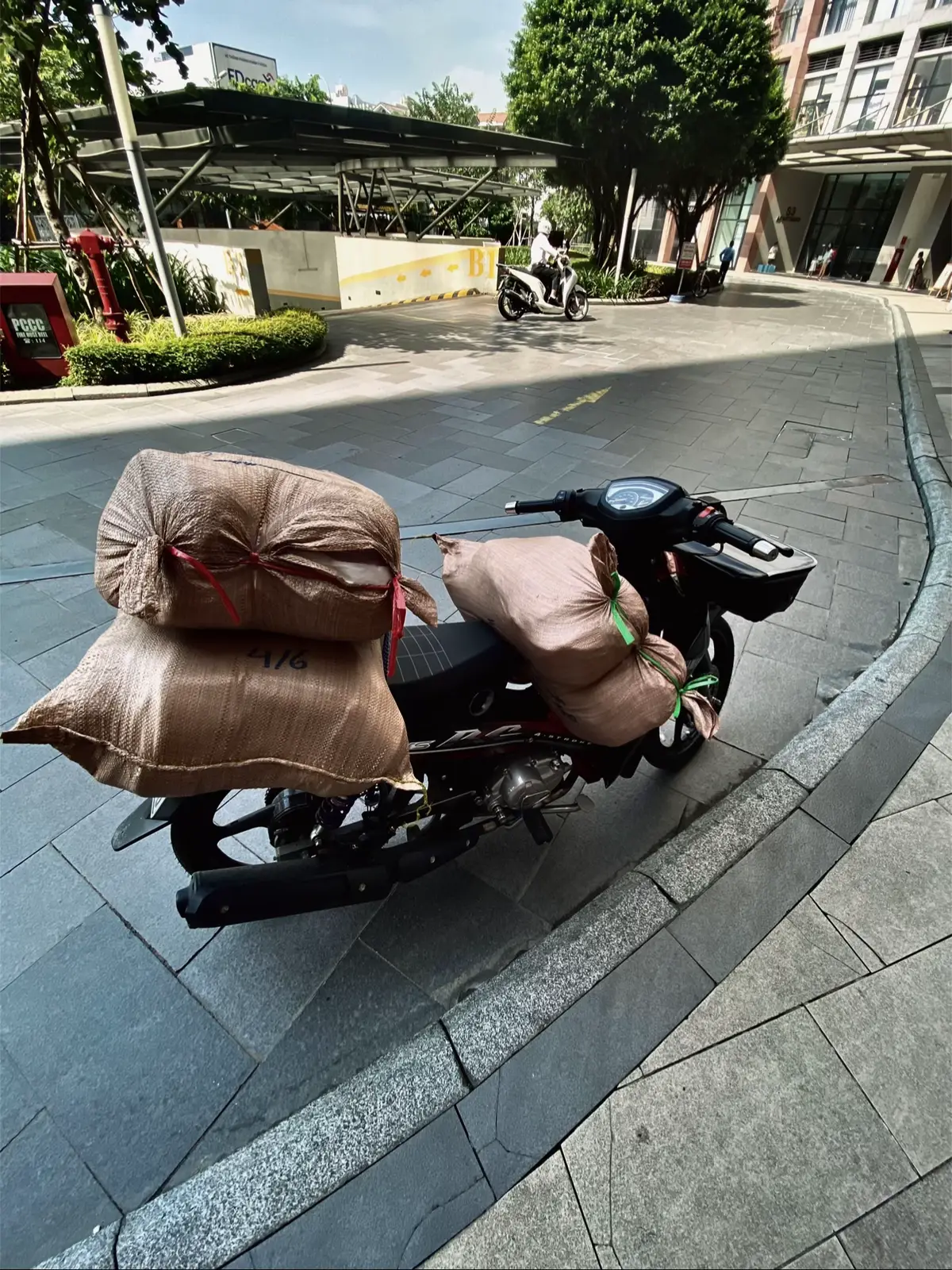 🙂‍↕️ #thailand🇹🇭 #sirus 