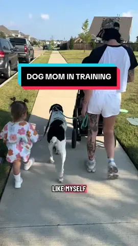 This type of training can start from birth and I actually recommend it. I take my role of dog mom coach very seriously. The next generation of responsible dog owners is already here. #dog #rescue #fy 